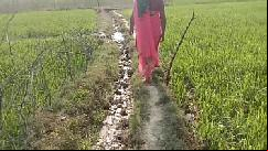 कॉलेज की लड़की की अन्तर्वासना मिटाई